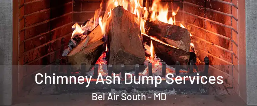  Chimney Ash Dump Services Bel Air South - MD