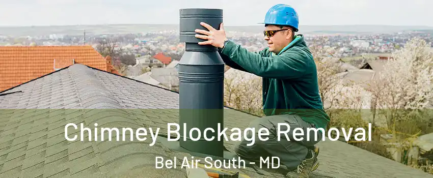 Chimney Blockage Removal Bel Air South - MD