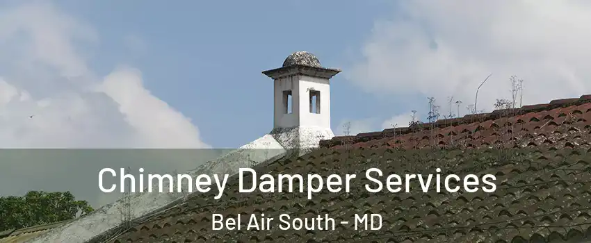  Chimney Damper Services Bel Air South - MD