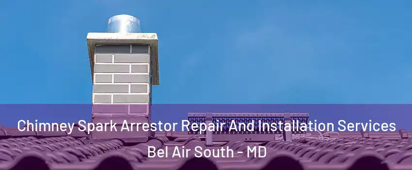  Chimney Spark Arrestor Repair And Installation Services Bel Air South - MD