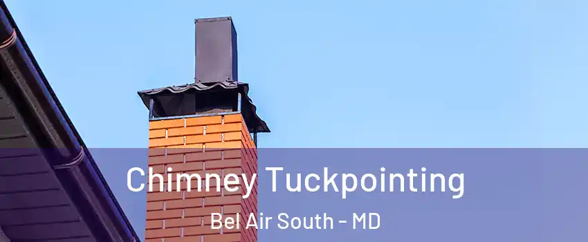  Chimney Tuckpointing Bel Air South - MD