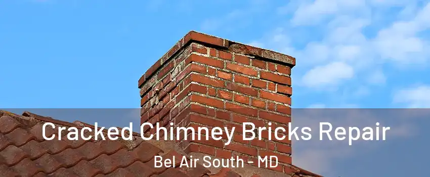  Cracked Chimney Bricks Repair Bel Air South - MD