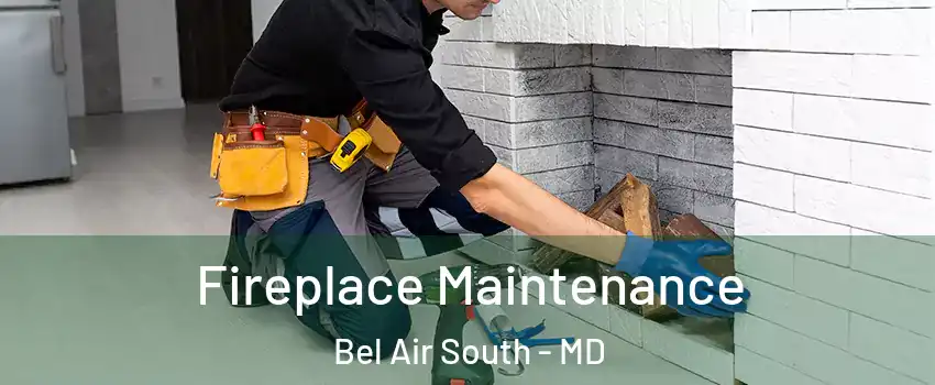  Fireplace Maintenance Bel Air South - MD