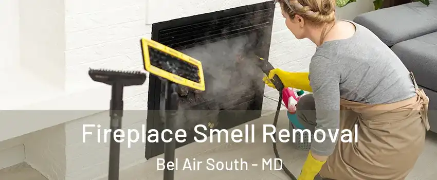  Fireplace Smell Removal Bel Air South - MD