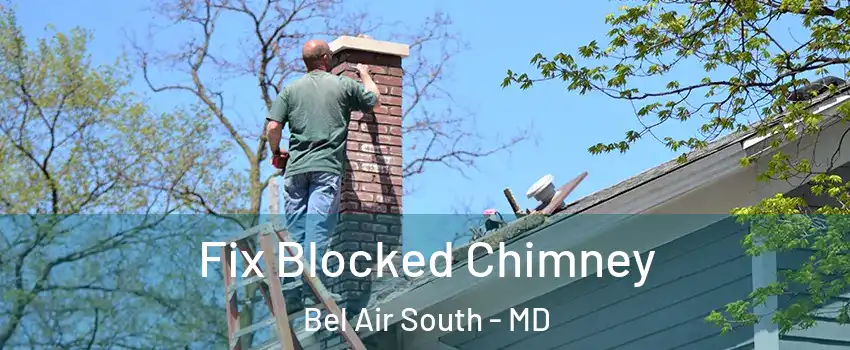  Fix Blocked Chimney Bel Air South - MD