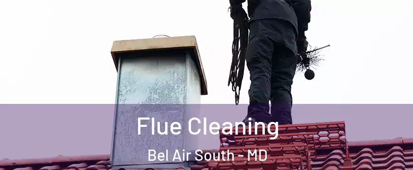  Flue Cleaning Bel Air South - MD