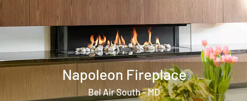  Napoleon Fireplace Bel Air South - MD